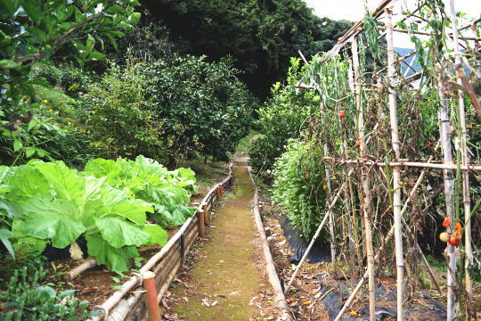 熱海市下多賀　家庭菜園を楽しむ眺望の良い平屋建 