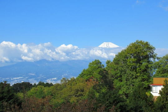 伊豆エメラルドタウン　駿河湾夜景と富士山を望む家