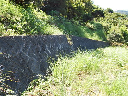 陽当り良好な土地