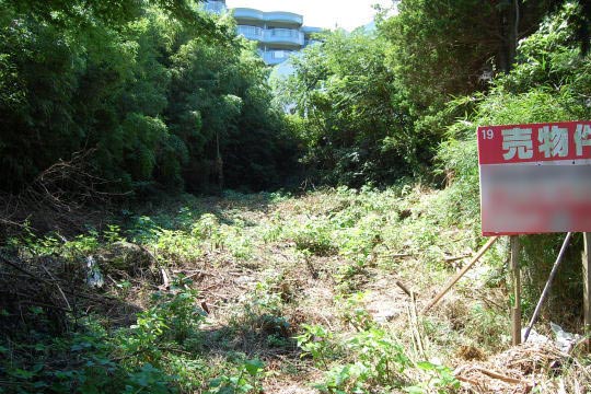 土地の様子