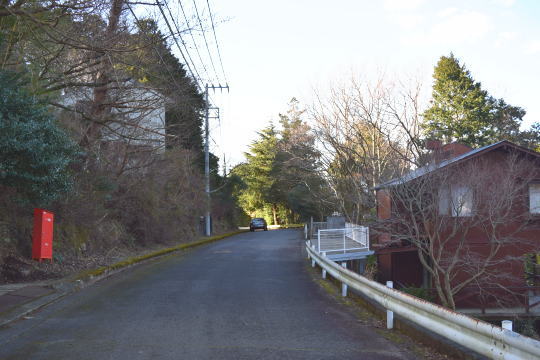 土地の様子