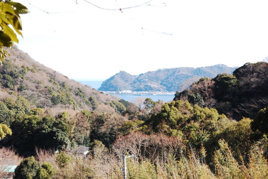 山間に海を望む