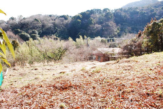 約185坪の売地