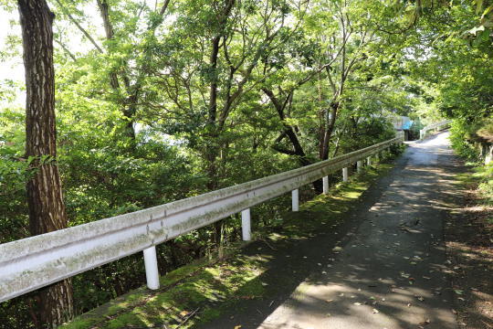 土地の様子