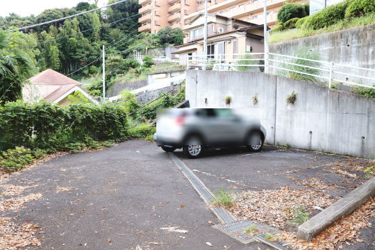 土地の様子