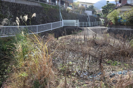 土地の様子