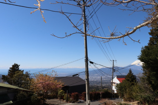 小松ヶ原別荘地　富士山～駿河湾の眺望を楽しめる売地
