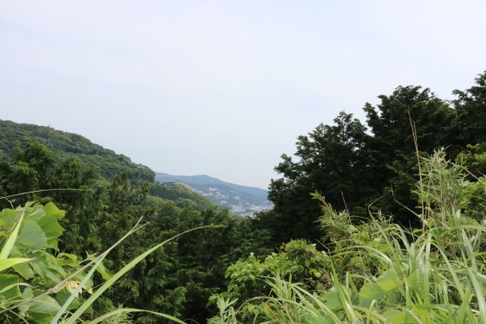 熱海市熱海 頼朝ライン沿いの広大な売地 約1165坪～熱海・湯河原・真鶴・伊豆の不動産コンシェルジュ イーズ（熱海駅前）