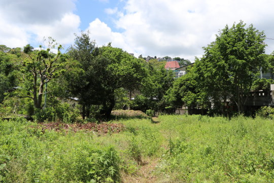 熱海市西山町　緑豊かな住宅地にある広い土地