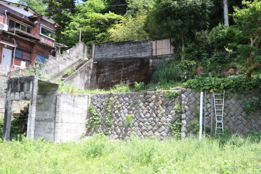 土地の様子