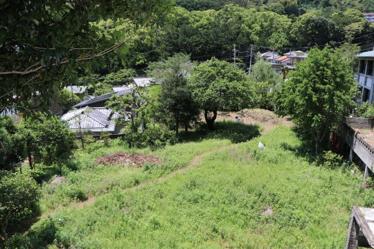 土地の様子