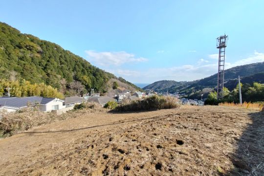 土地の様子