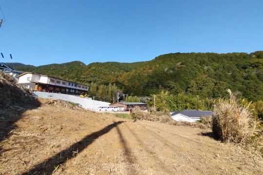 土地の様子