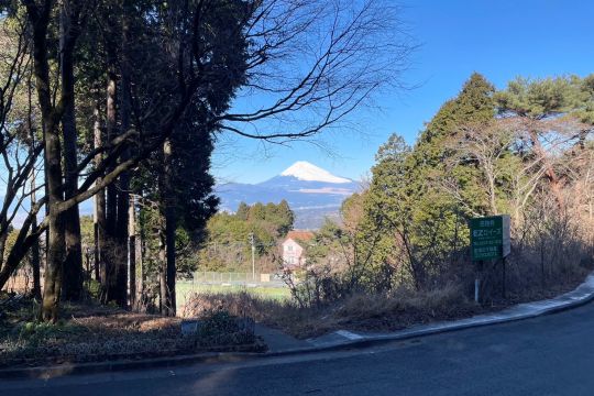 土地の様子