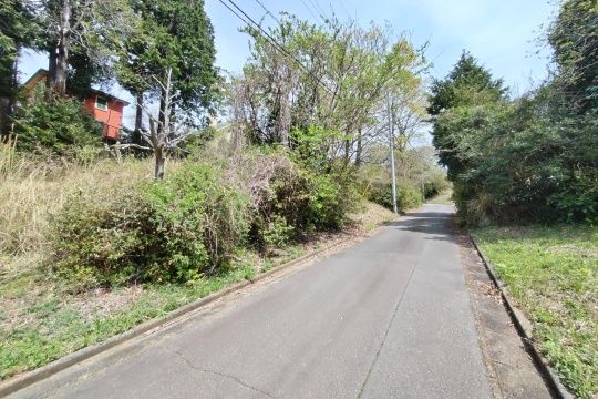 全面道路