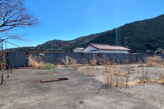 土地の様子