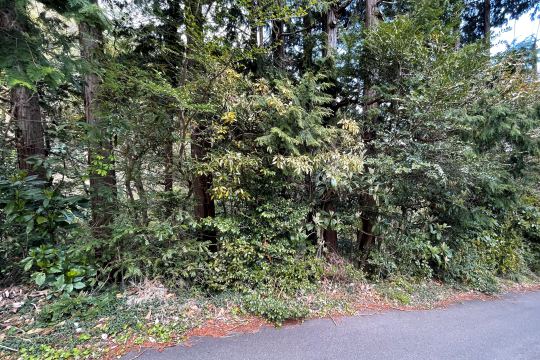 熱海市青葉町　閑静な住宅地エリア　約1049坪の広大な土地