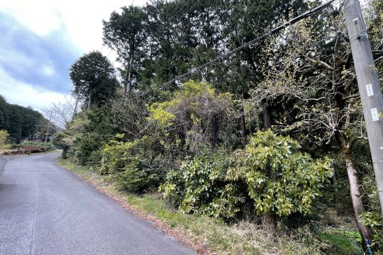 土地の様子