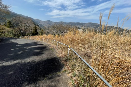 熱海市熱海　熱海梅園分譲地　海と花火を眺望する広大な敷地約1480坪