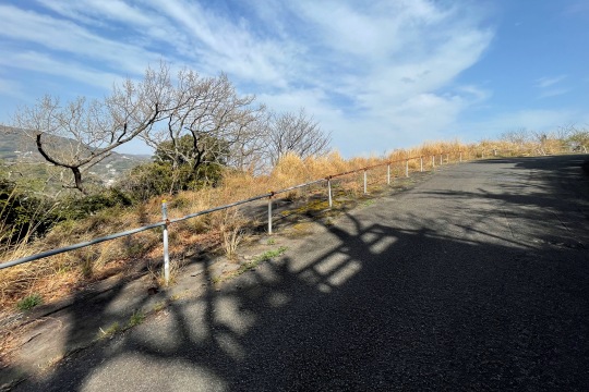 土地の様子