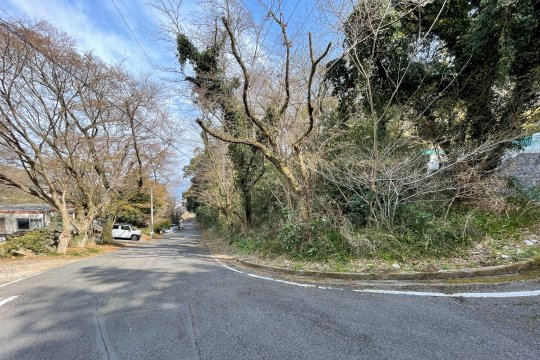 土地の様子