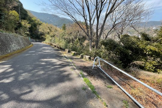 土地の様子