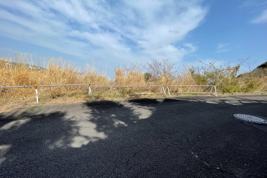 土地の様子