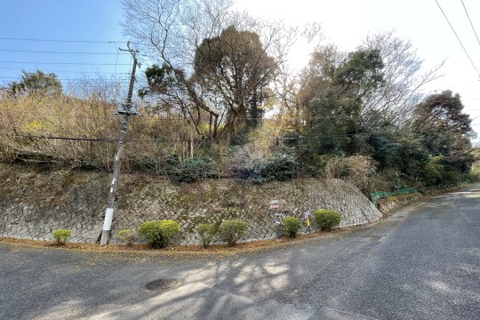 土地の様子