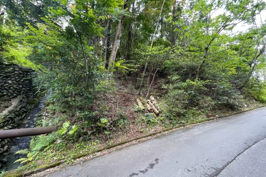南箱根ダイヤランド　自然豊かな別荘地内　約94坪売地