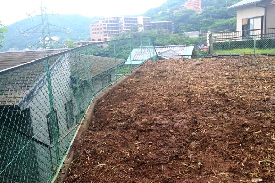 土地の様子