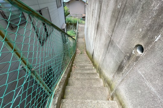 土地の様子