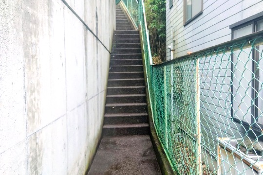 土地の様子
