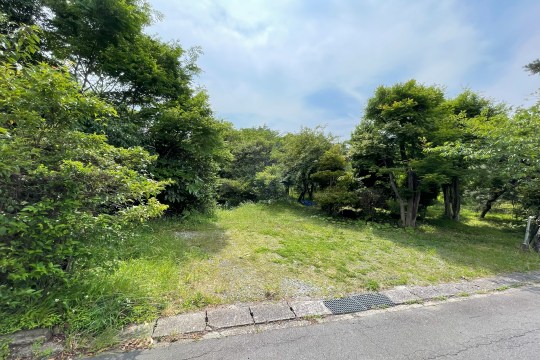 土地の様子