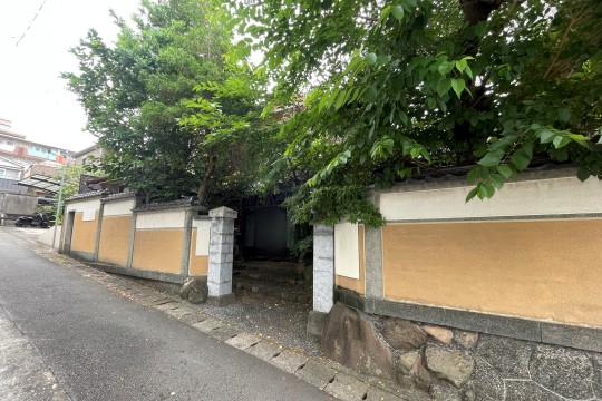土地の様子