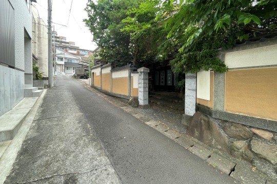 土地の様子