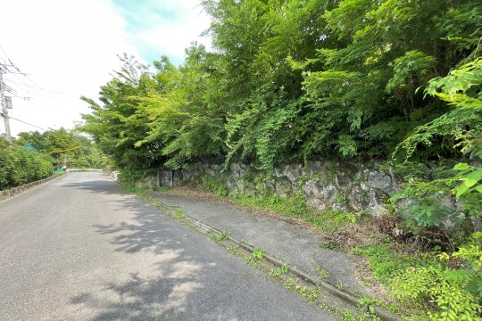 土地の様子