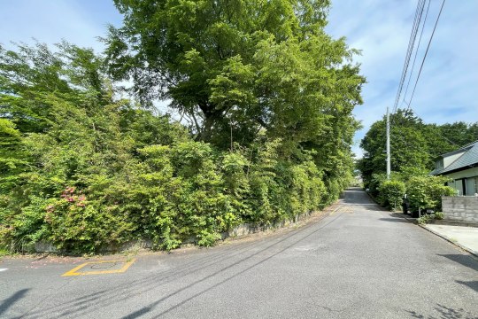 土地の様子