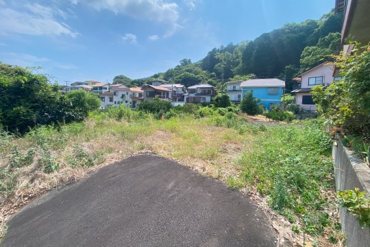 土地の様子