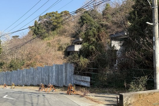 土地の様子