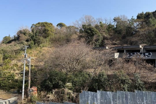 土地の様子