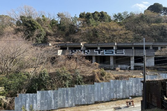 土地の様子