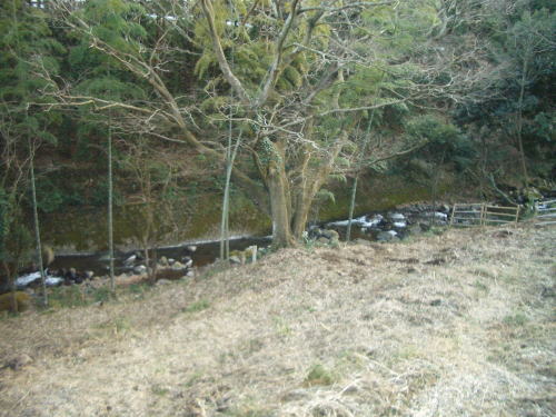 一番下の段は清流に面しています