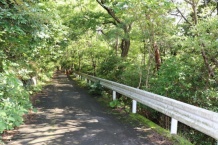 網代山分譲地　温泉と緑のある温暖で静かな環境　売地　