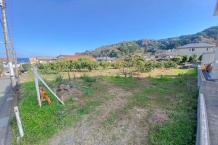 熱海市下多賀　135号線までアクセス良好　B区画