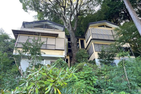 熱海市泉　海を眺め自然の中に暮らす　シンボルツリーのある和モダン邸宅