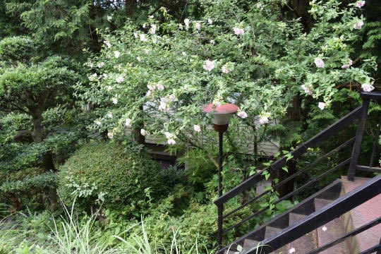 南箱根ダイヤランド　森林に包まれた山荘