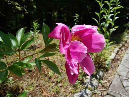 熱海市伊豆山・温泉・大型ガレージ付別荘