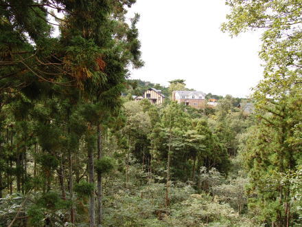 南箱根ダイヤランド・温泉権＆高級家財付中古住宅