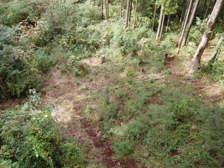 南箱根ダイヤランド・温泉権＆高級家財付中古住宅