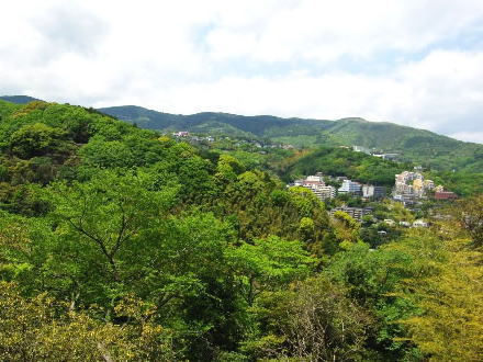 熱海市熱海・数寄屋造りでオール電化の新築住宅